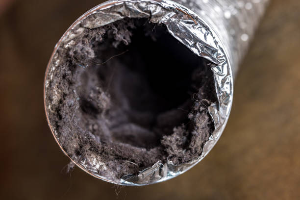 Best Ductwork Cleaning Services  in Chapin, SC